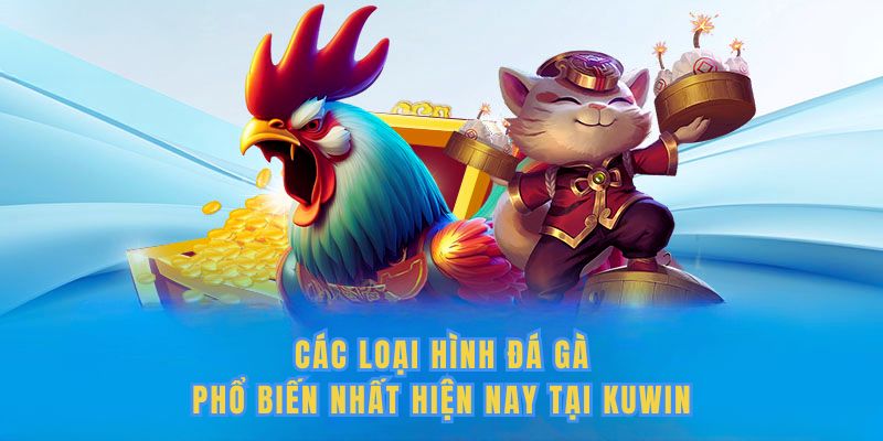 Các loại hình đá gà phổ biến nhất hiện nay tại Kuwin