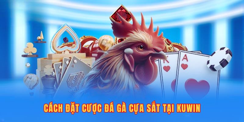 Cách đặt cược đá gà cựa sắt tại Kuwin