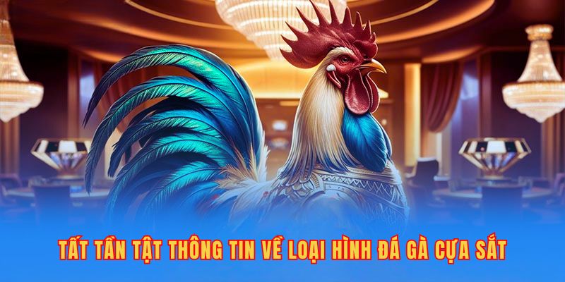 Tất Tần Tật Thông Tin Về Loại Hình Đá Gà Cựa Sắt