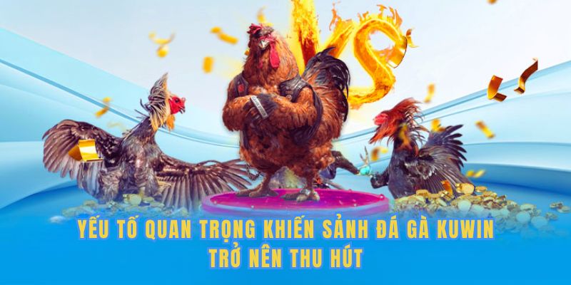 Yếu tố quan trọng khiến đá gà Kuwin trở nên thu hút 